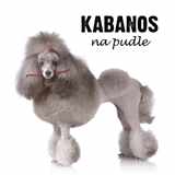 CD Kabanos - Na Pudle Digipack - 2012