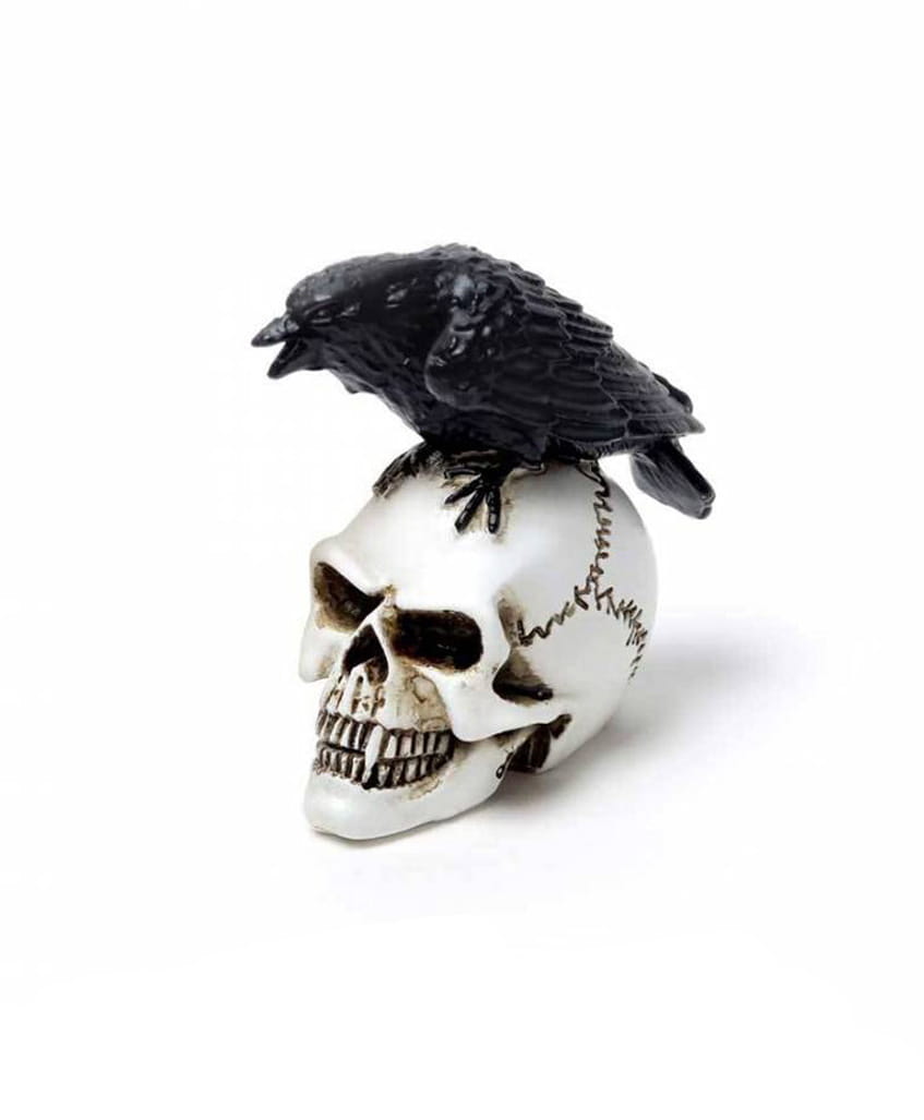 Miniaturní figurka - Raven Skull